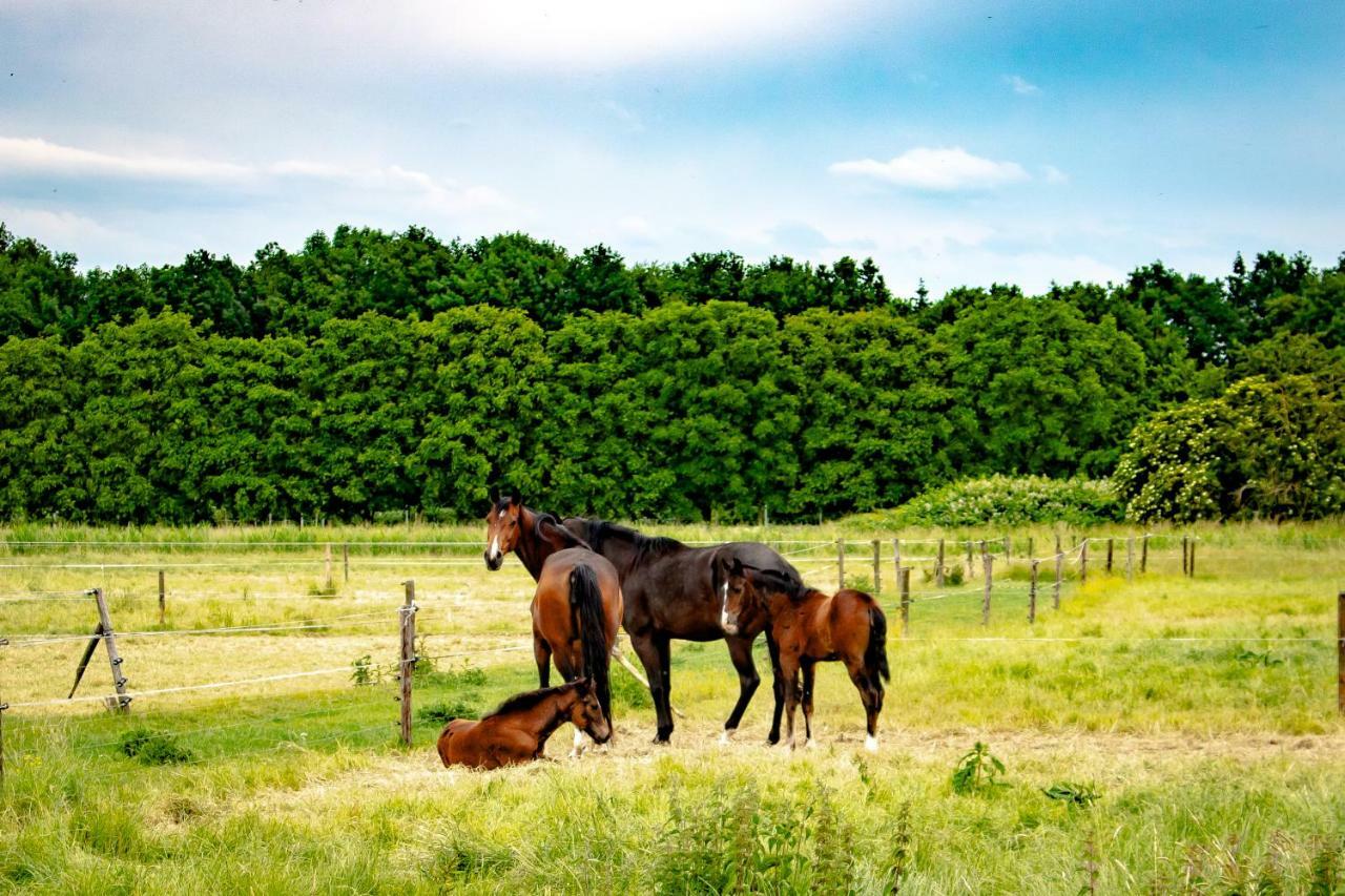 Van Doremaele Luxury Guesthouse Velddriel エクステリア 写真