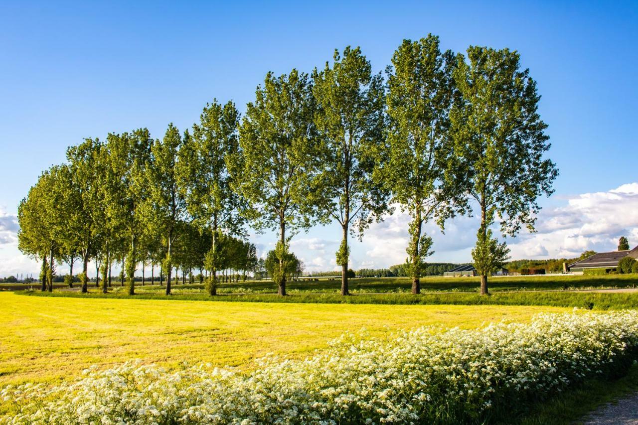 Van Doremaele Luxury Guesthouse Velddriel エクステリア 写真